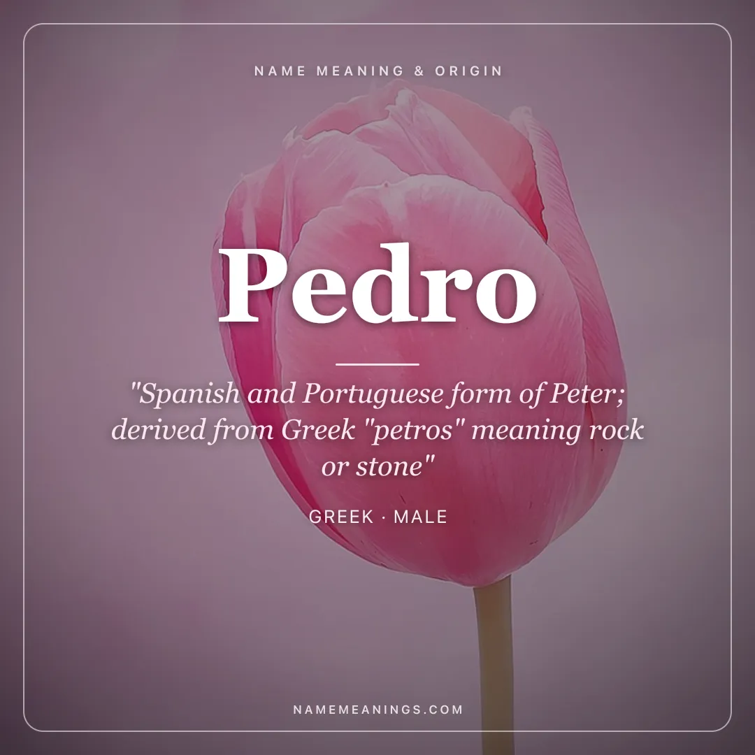 Pedro name meaning "Spanish and Portuguese form of Peter; derived from Greek "petros" meaning rock or stone" - Greek male name share card | NameMeanings