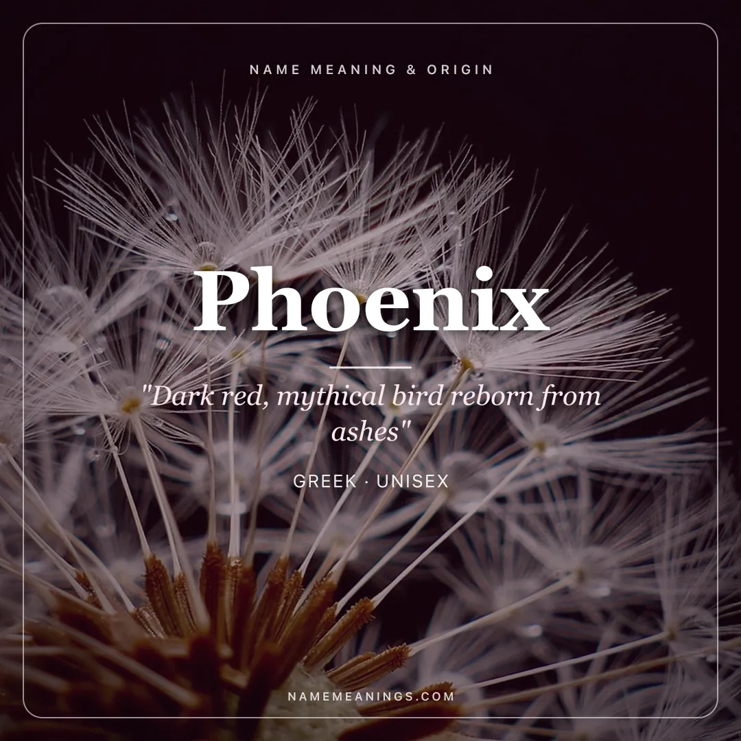 Phoenix name meaning "Dark red, mythical bird reborn from ashes" - Greek unisex name share card | NameMeanings