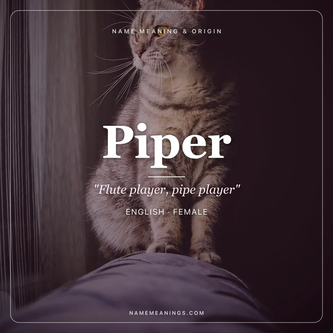 Piper name meaning "Flute player, pipe player" - English female name share card | NameMeanings