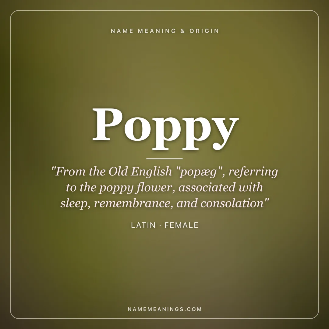 Poppy name meaning "From the Old English "popæg", referring to the poppy flower, associated with sleep, remembrance, and consolation" - Latin female name share card | NameMeanings