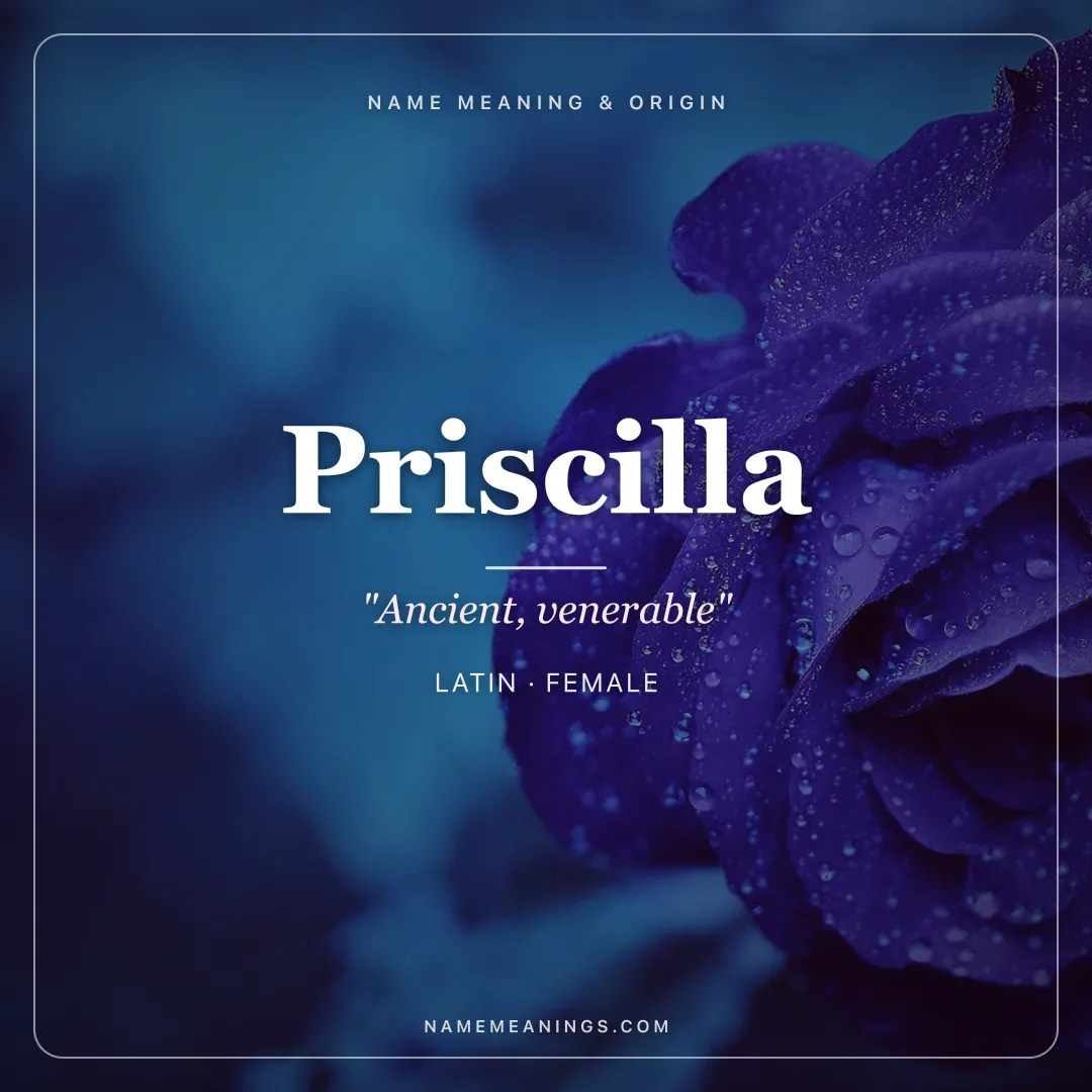 Priscilla name meaning "Ancient, venerable" - Latin female name share card | NameMeanings