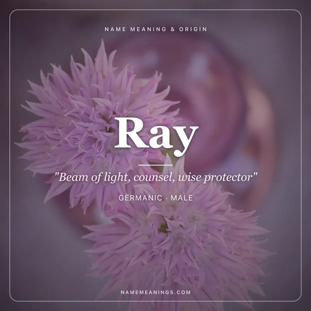 Ray name meaning "Beam of light, counsel, wise protector" - Germanic, Old French male name share card | NameMeanings
