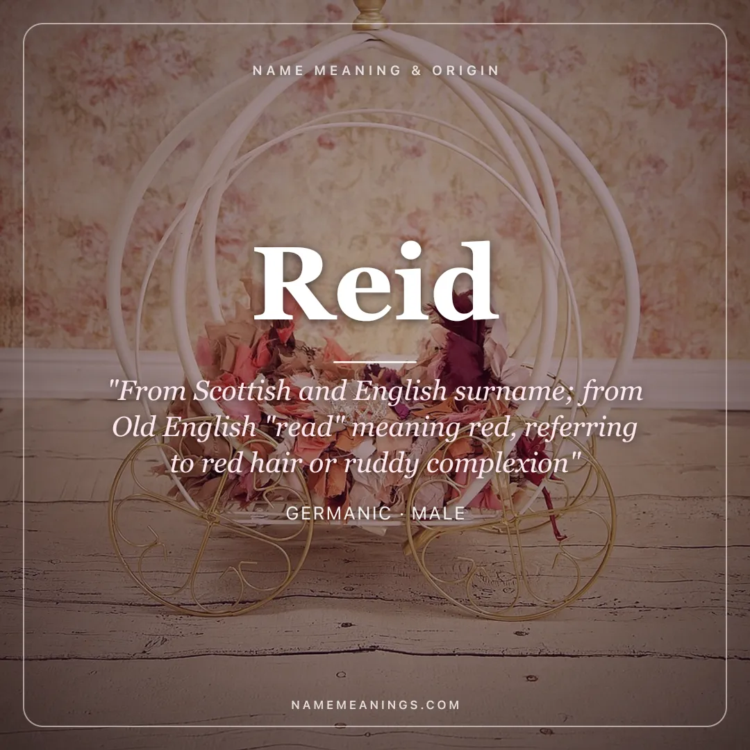 Reid name meaning "From Scottish and English surname; from Old English "read" meaning red, referring to red hair or ruddy complexion" - Germanic male name share card | NameMeanings
