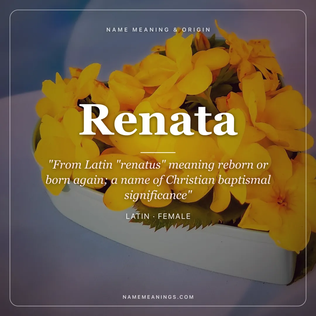 Renata name meaning "From Latin "renatus" meaning reborn or born again; a name of Christian baptismal significance" - Latin female name share card | NameMeanings