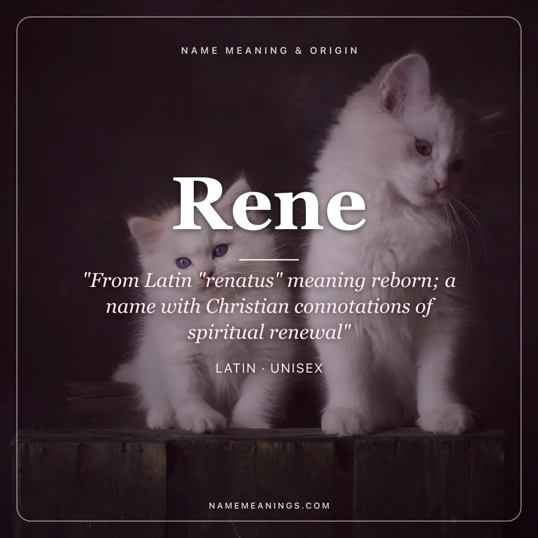 Rene name meaning "From Latin "renatus" meaning reborn; a name with Christian connotations of spiritual renewal" - Latin unisex name share card | NameMeanings