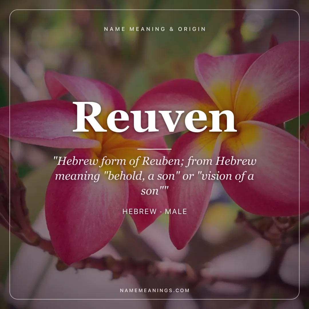 Reuven name meaning "Hebrew form of Reuben; from Hebrew meaning "behold, a son" or "vision of a son"" - Hebrew male name share card | NameMeanings