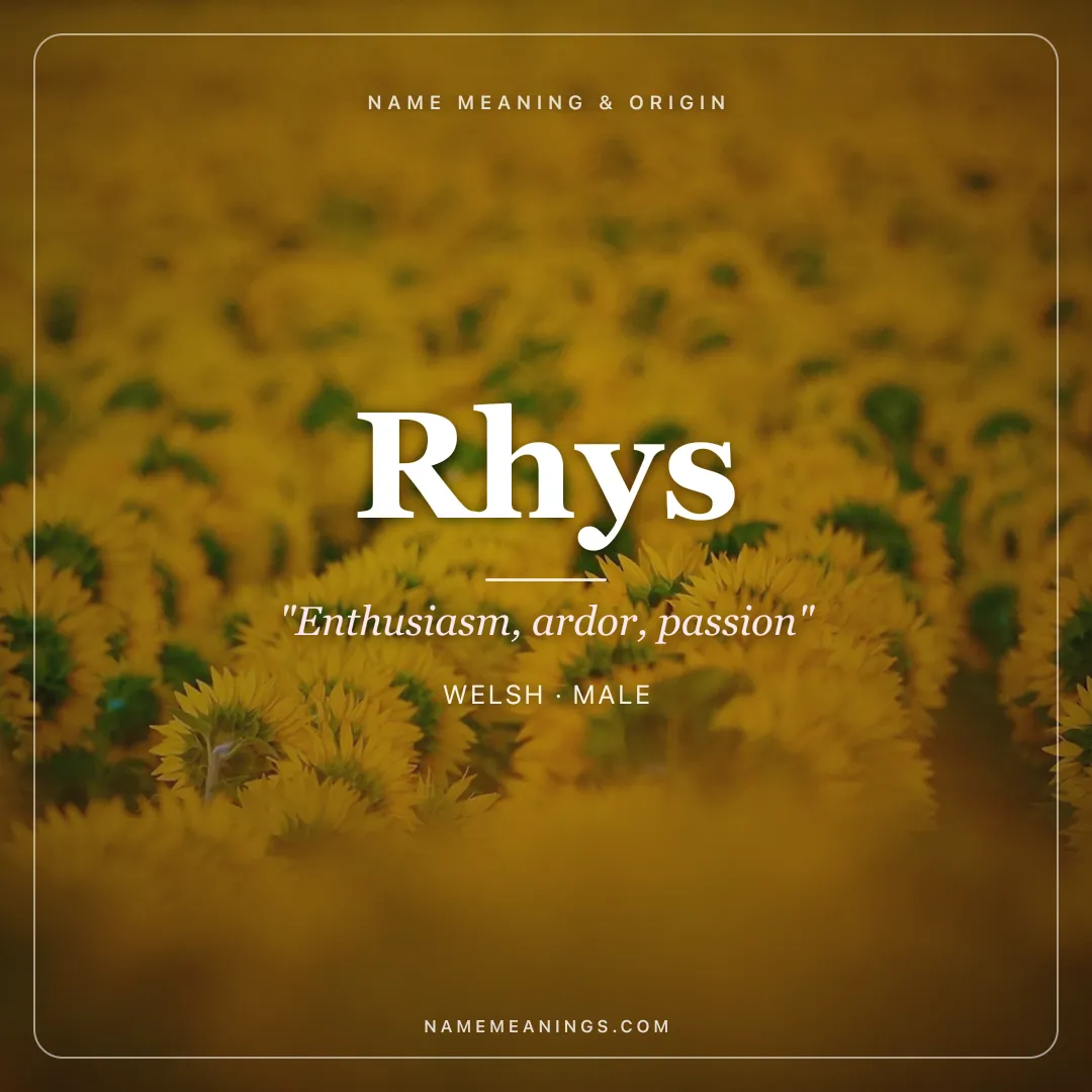 Rhys name meaning "Enthusiasm, ardor, passion" - Welsh male name share card | NameMeanings