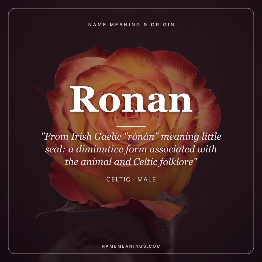 Ronan name meaning "From Irish Gaelic "rónán" meaning little seal; a diminutive form associated with the animal and Celtic folklore" - Celtic male name share card | NameMeanings