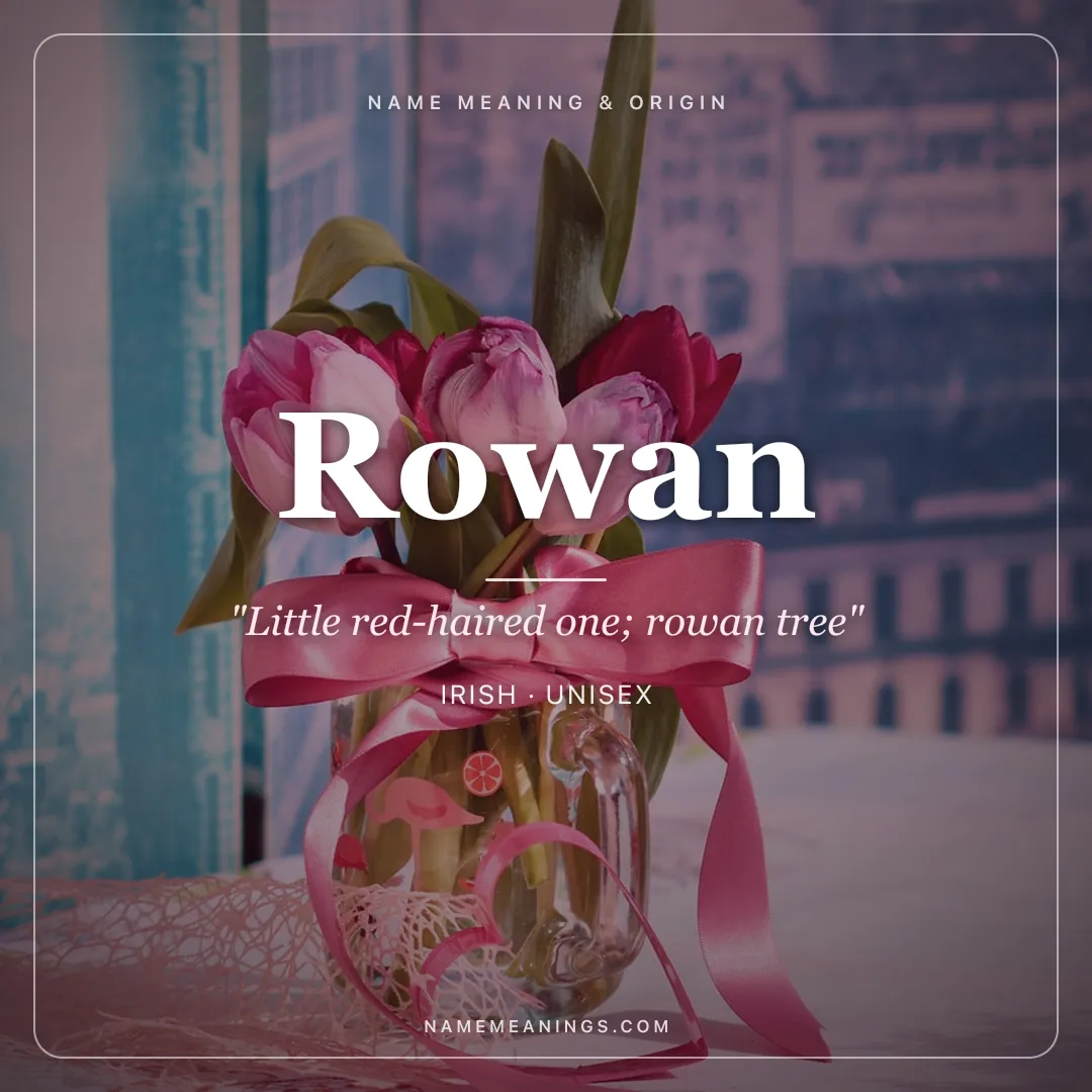 Rowan name meaning "Little red-haired one; rowan tree" - Irish, Scottish unisex name share card | NameMeanings