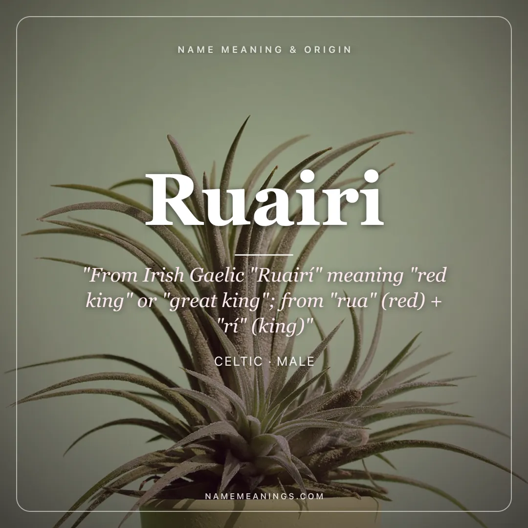 Ruairi name meaning "From Irish Gaelic "Ruairí" meaning "red king" or "great king"; from "rua" (red) + "rí" (king)" - Celtic male name share card | NameMeanings