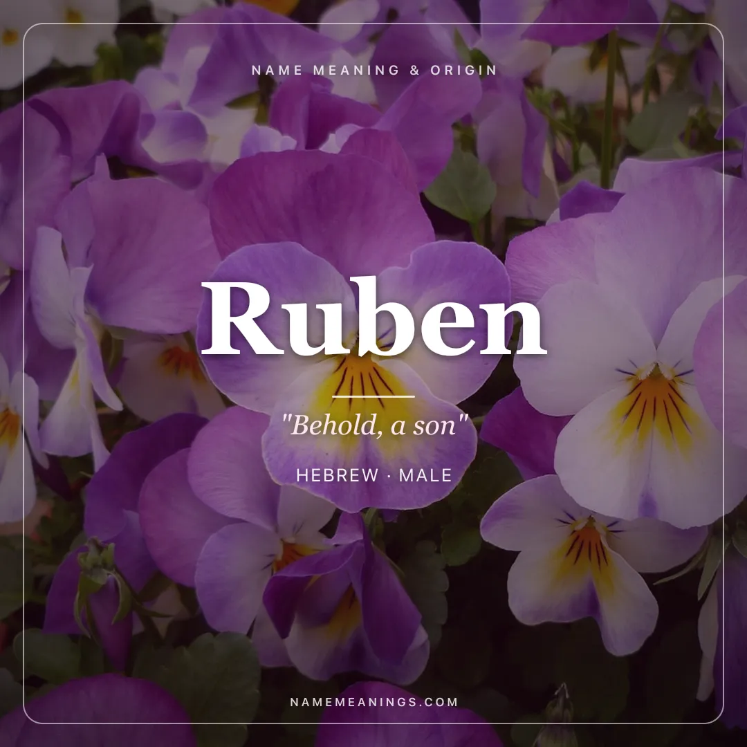 Ruben name meaning "Behold, a son" - Hebrew, Spanish male name share card | NameMeanings