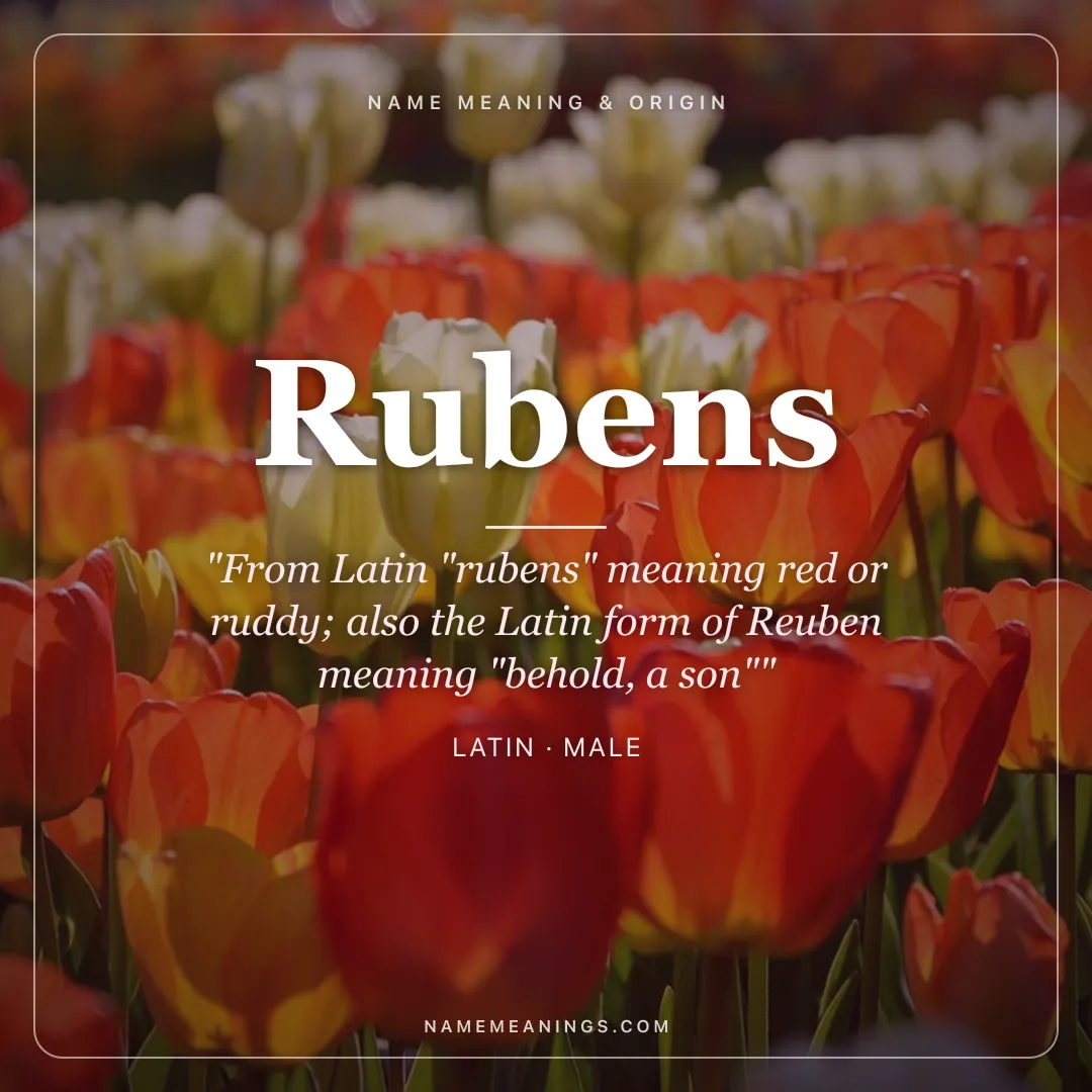 Rubens name meaning "From Latin "rubens" meaning red or ruddy; also the Latin form of Reuben meaning "behold, a son"" - Latin male name share card | NameMeanings