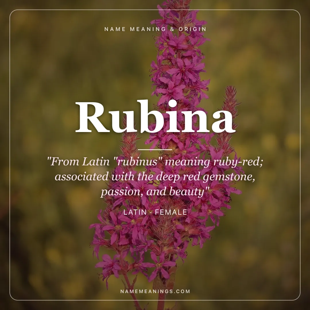 Rubina name meaning "From Latin "rubinus" meaning ruby-red; associated with the deep red gemstone, passion, and beauty" - Latin female name share card | NameMeanings