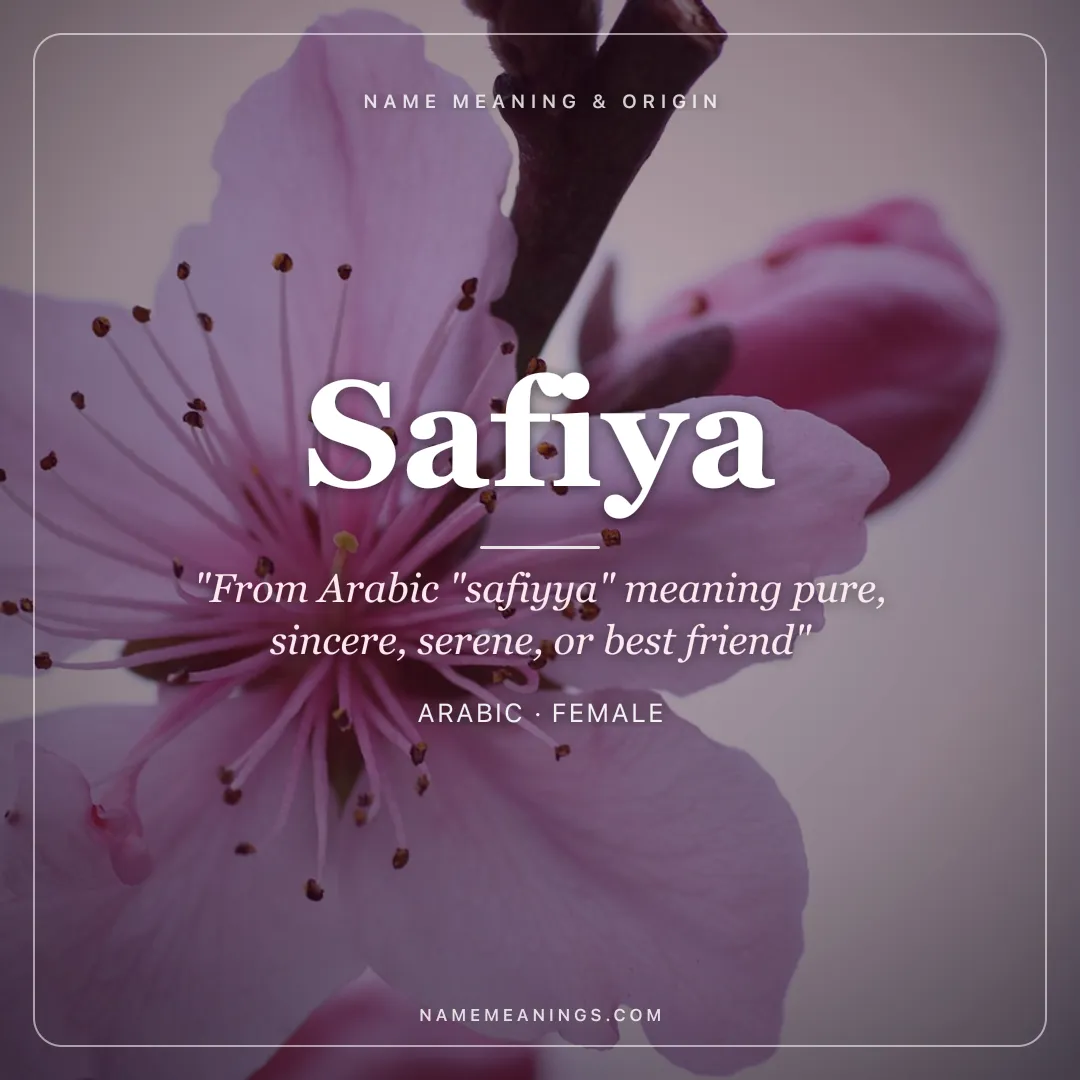 Safiya name meaning "From Arabic "safiyya" meaning pure, sincere, serene, or best friend" - Arabic female name share card | NameMeanings