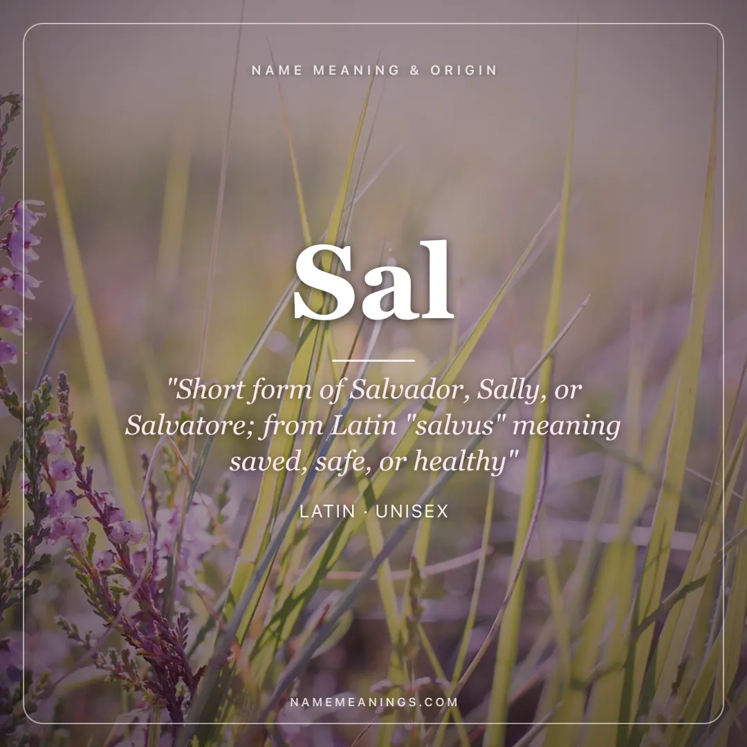 Sal name meaning "Short form of Salvador, Sally, or Salvatore; from Latin "salvus" meaning saved, safe, or healthy" - Latin unisex name share card | NameMeanings