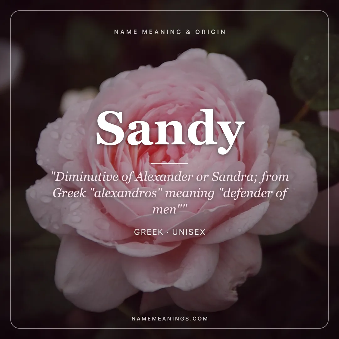 Sandy name meaning "Diminutive of Alexander or Sandra; from Greek "alexandros" meaning "defender of men"" - Greek unisex name share card | NameMeanings