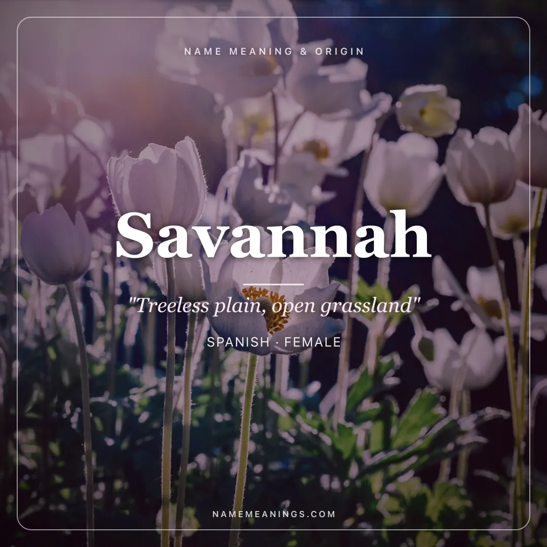 Savannah name meaning "Treeless plain, open grassland" - Spanish, Taino female name share card | NameMeanings