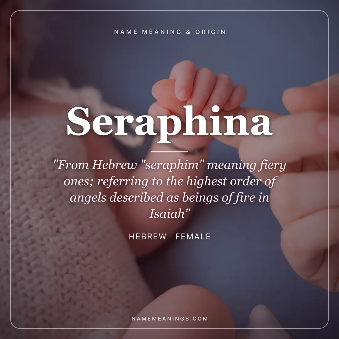 Seraphina name meaning "From Hebrew "seraphim" meaning fiery ones; referring to the highest order of angels described as beings of fire in Isaiah" - Hebrew female name share card | NameMeanings