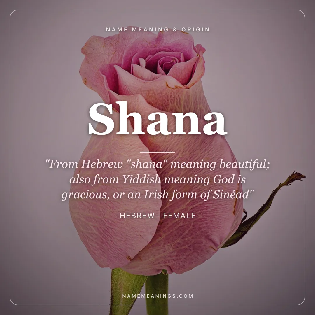 Shana name meaning "From Hebrew "shana" meaning beautiful; also from Yiddish meaning God is gracious, or an Irish form of Sinéad" - Hebrew female name share card | NameMeanings