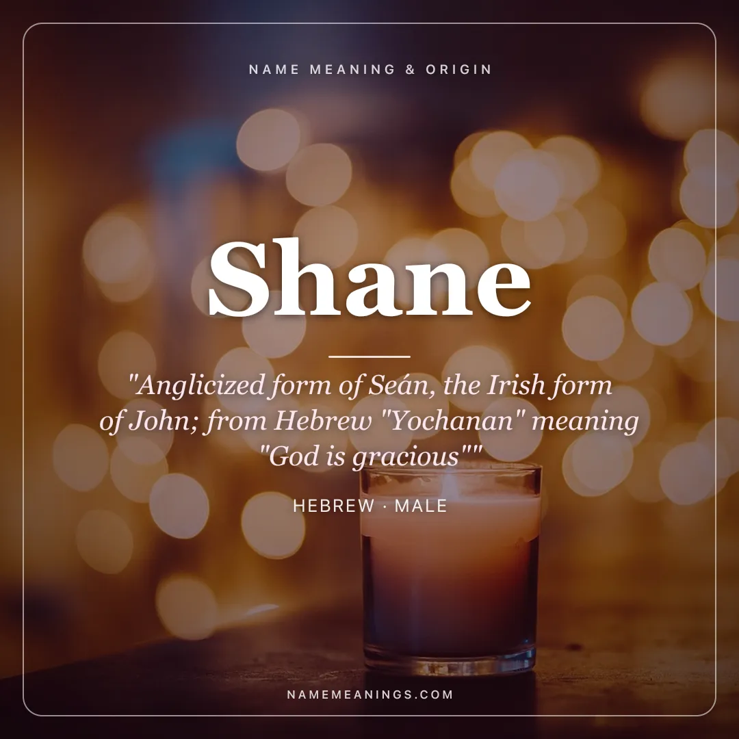 Shane name meaning "Anglicized form of Seán, the Irish form of John; from Hebrew "Yochanan" meaning "God is gracious"" - Hebrew male name share card | NameMeanings
