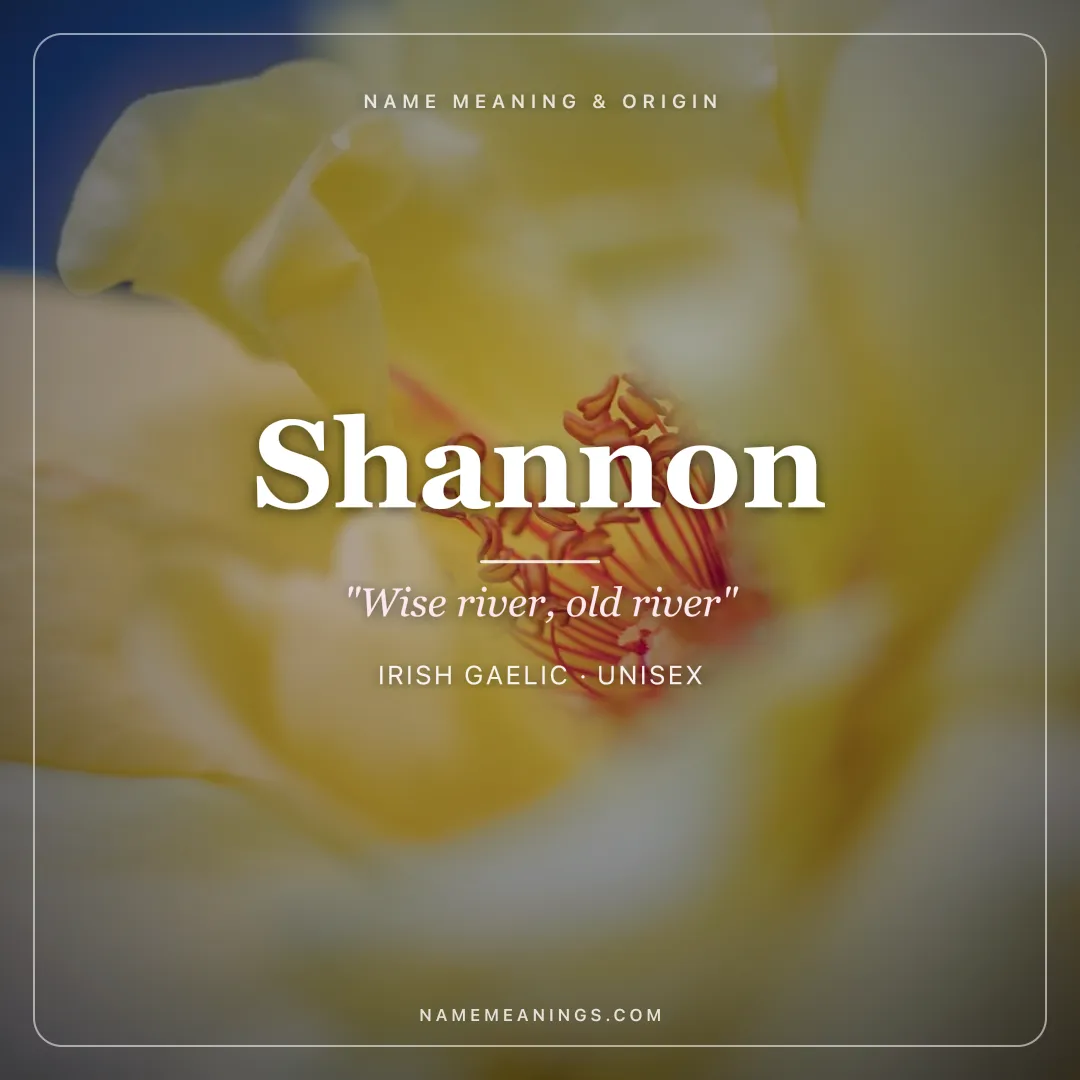 Shannon name meaning "Wise river, old river" - Irish Gaelic unisex name share card | NameMeanings