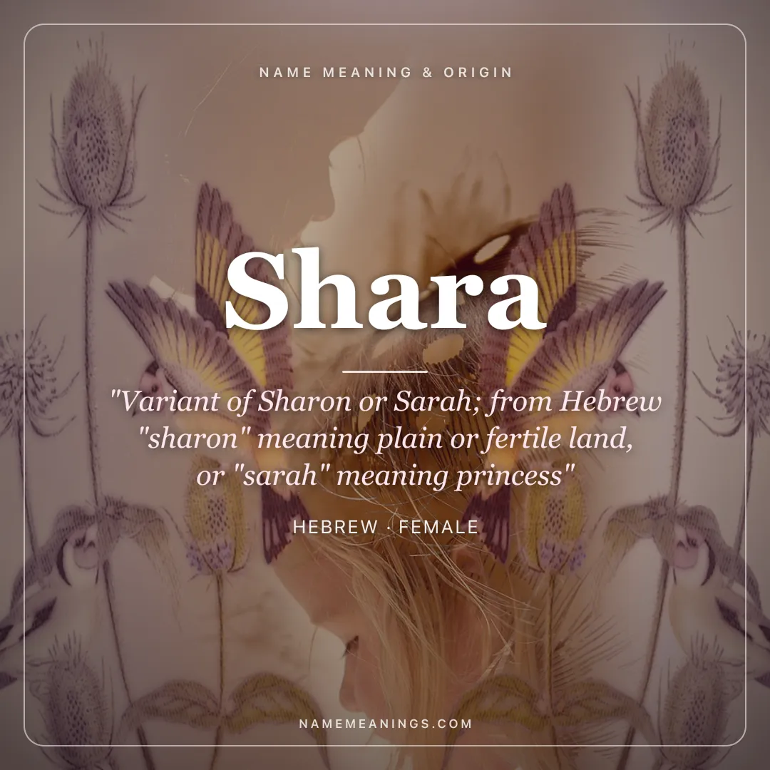 Shara name meaning "Variant of Sharon or Sarah; from Hebrew "sharon" meaning plain or fertile land, or "sarah" meaning princess" - Hebrew female name share card | NameMeanings