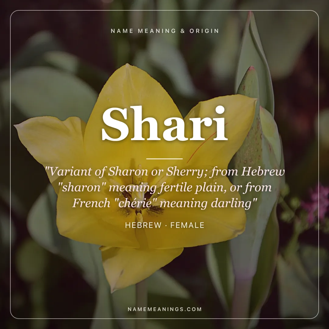 Shari name meaning "Variant of Sharon or Sherry; from Hebrew "sharon" meaning fertile plain, or from French "chérie" meaning darling" - Hebrew female name share card | NameMeanings