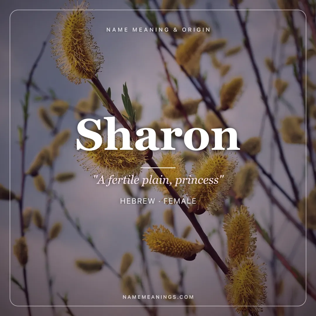 Sharon name meaning "A fertile plain, princess" - Hebrew female name share card | NameMeanings