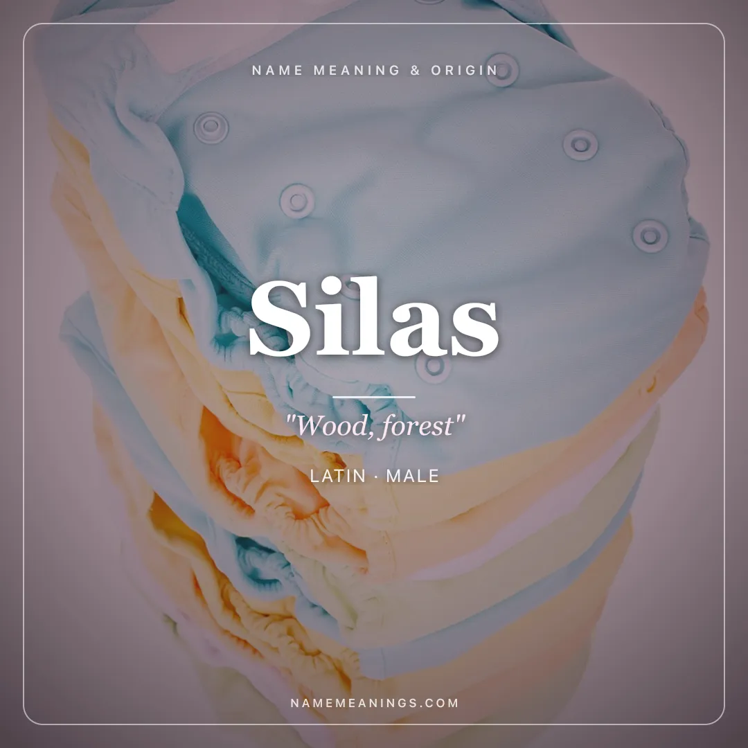 Silas name meaning "Wood, forest" - Latin, Greek male name share card | NameMeanings