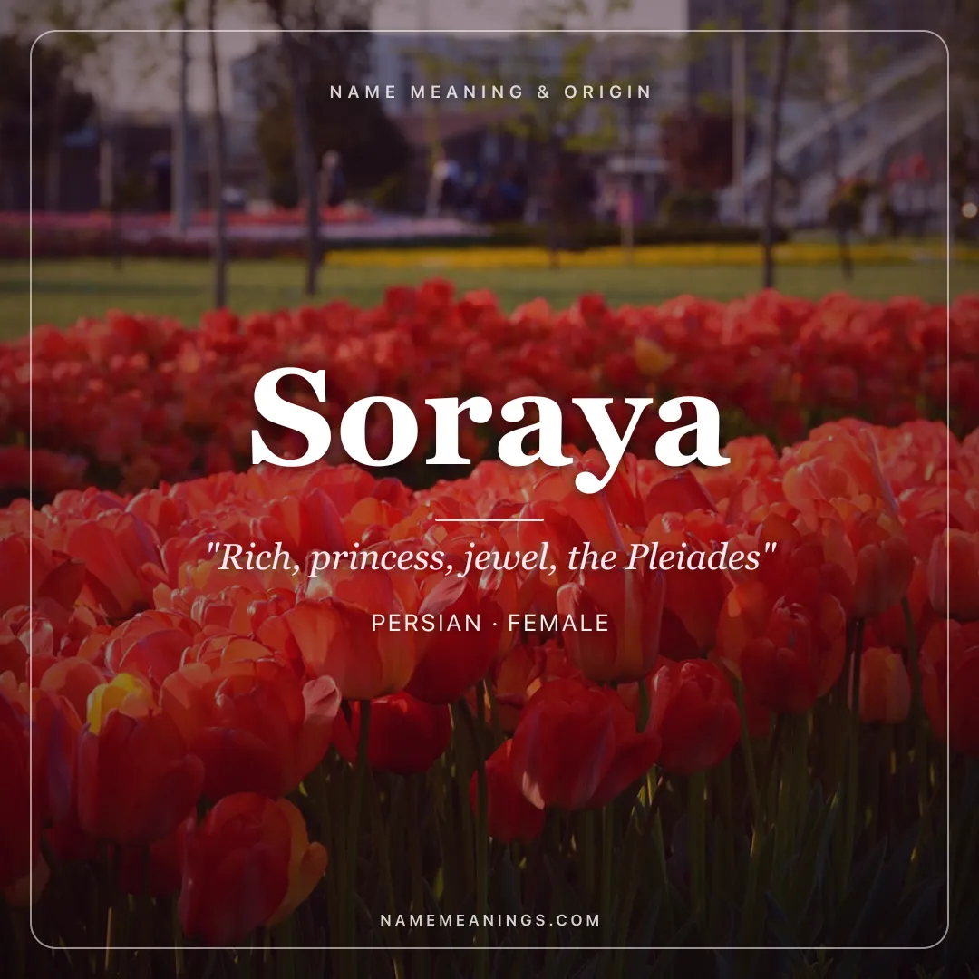 Soraya name meaning "Rich, princess, jewel, the Pleiades" - Persian, Arabic female name share card | NameMeanings