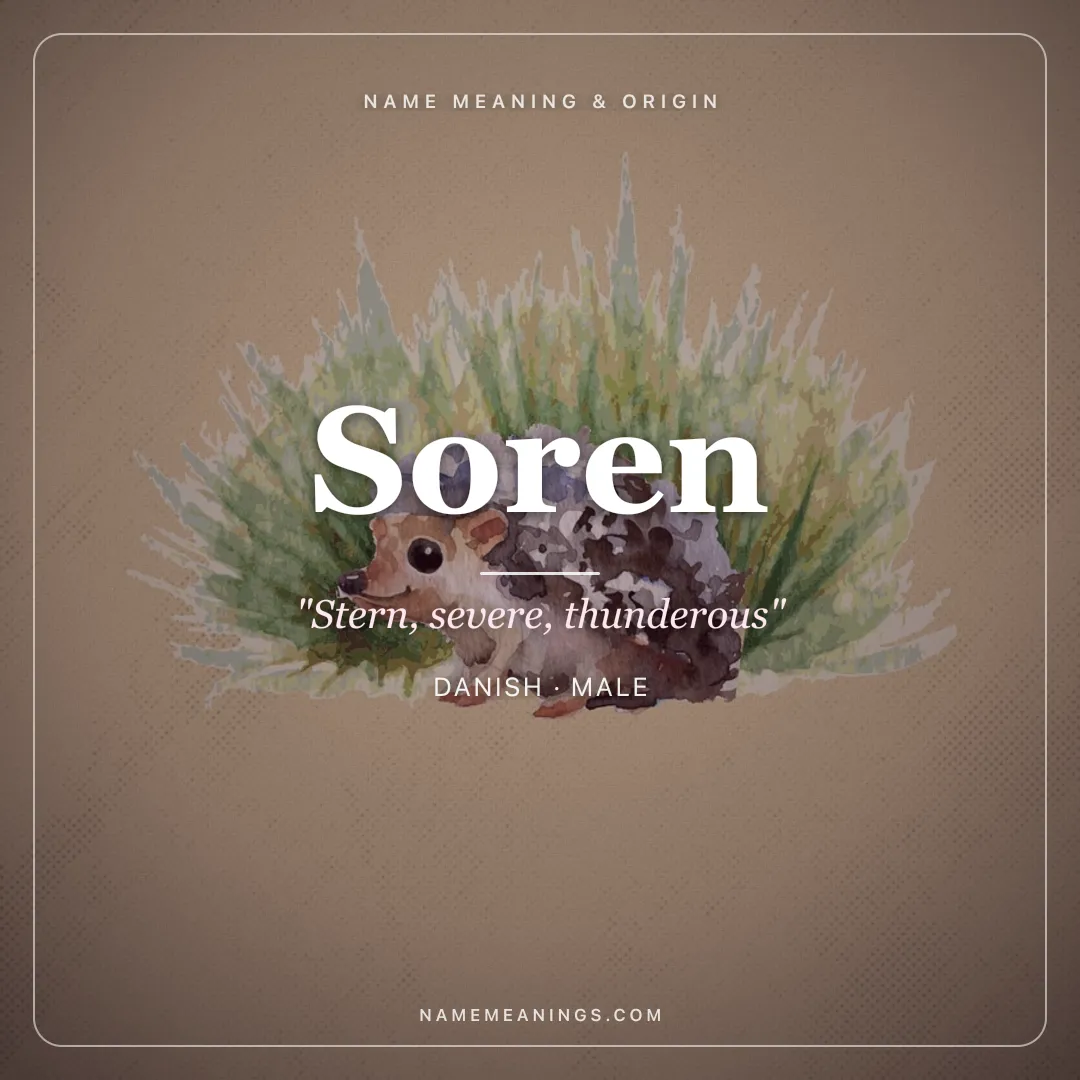 Soren name meaning "Stern, severe, thunderous" - Danish, Old Norse male name share card | NameMeanings