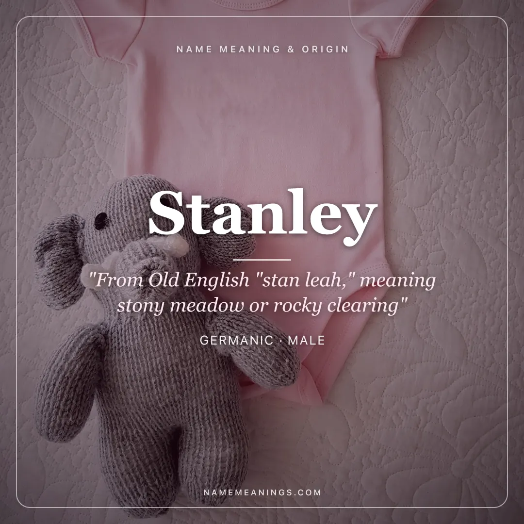 Stanley name meaning "From Old English "stan leah," meaning stony meadow or rocky clearing" - Germanic male name share card | NameMeanings