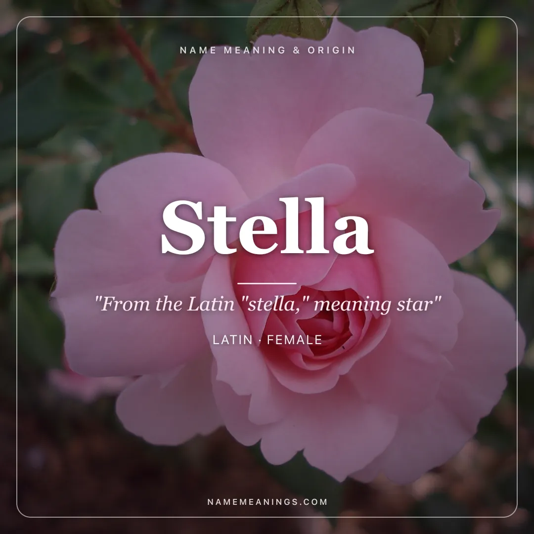 Stella name meaning "From the Latin "stella," meaning star" - Latin female name share card | NameMeanings