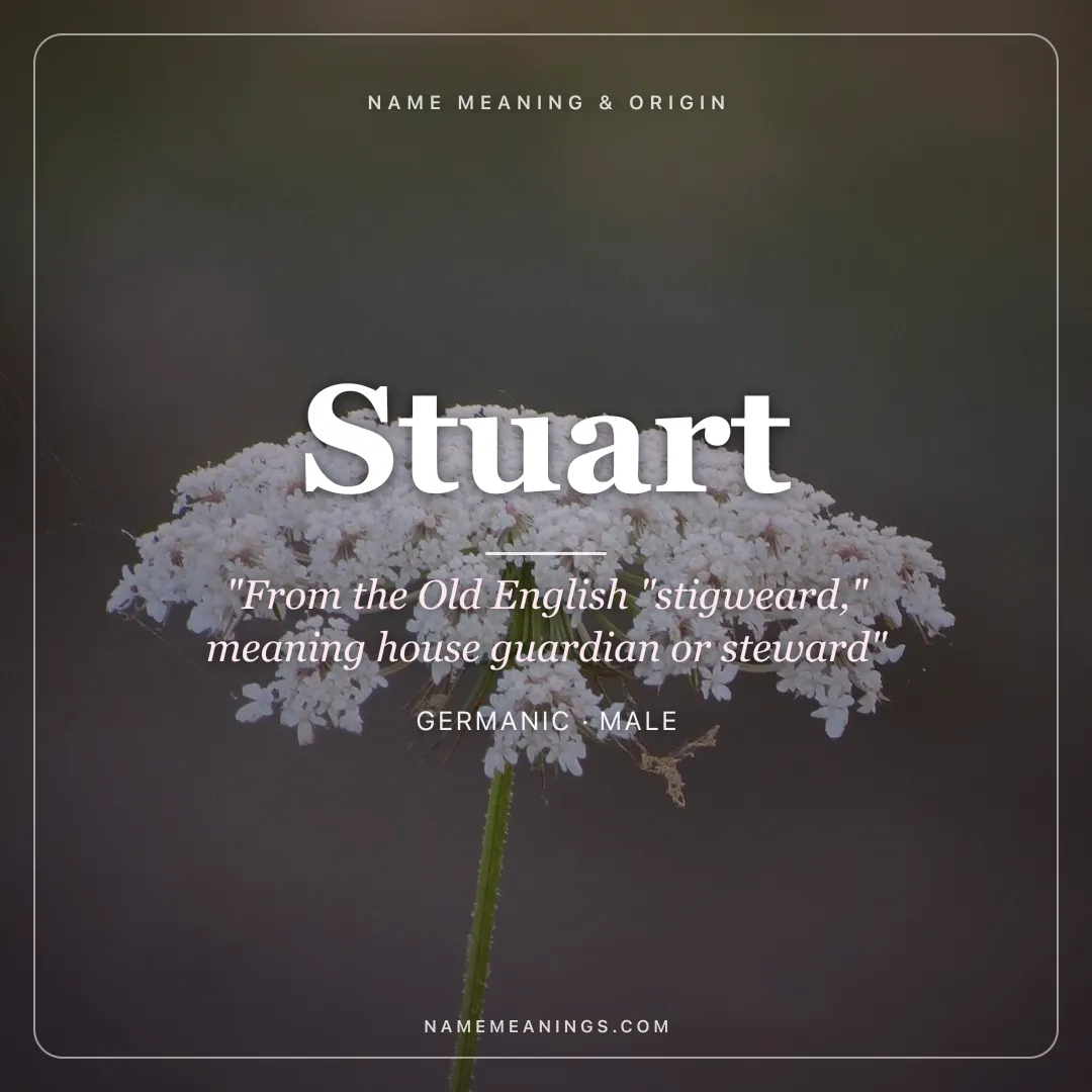 Stuart name meaning "From the Old English "stigweard," meaning house guardian or steward" - Germanic male name share card | NameMeanings