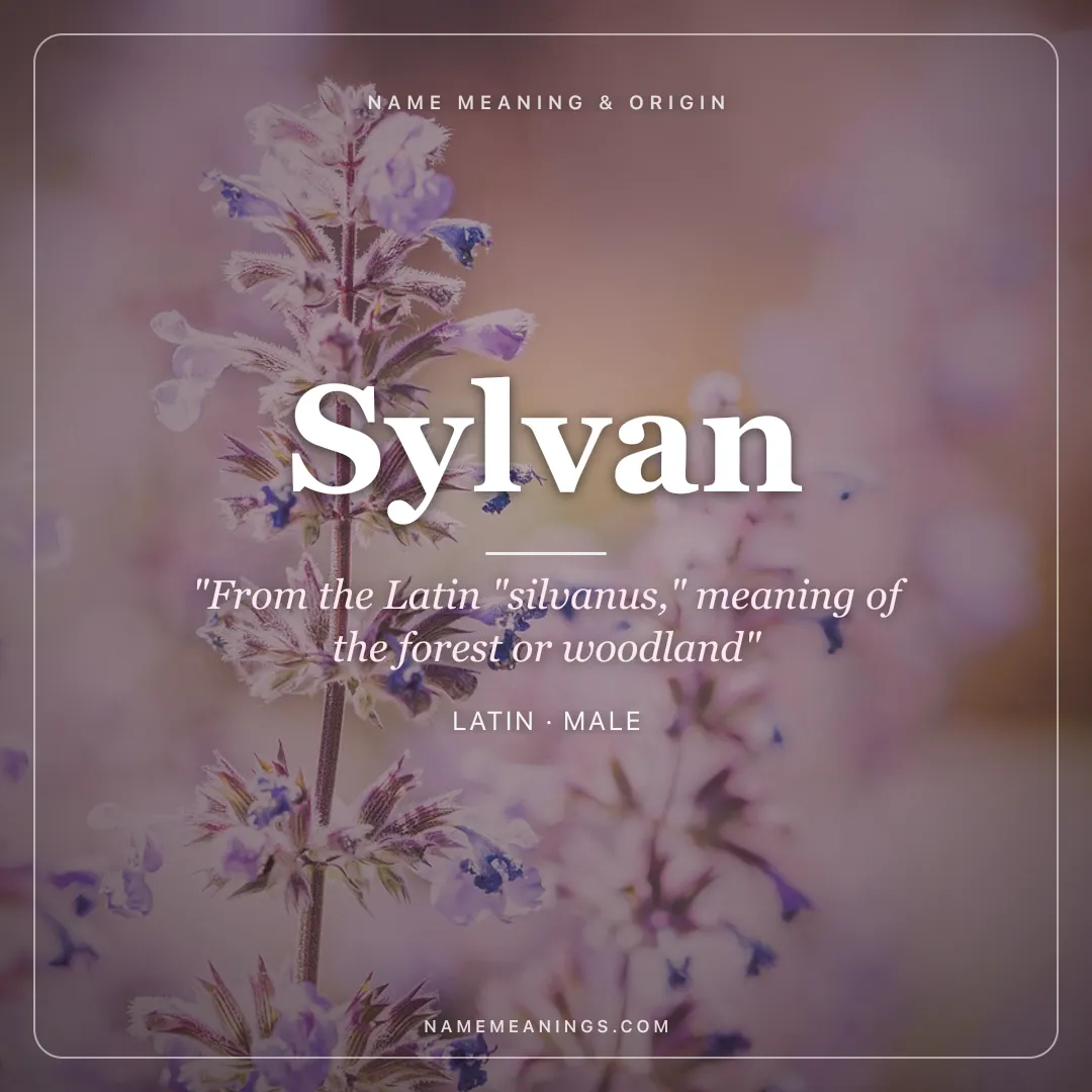 Sylvan name meaning "From the Latin "silvanus," meaning of the forest or woodland" - Latin male name share card | NameMeanings