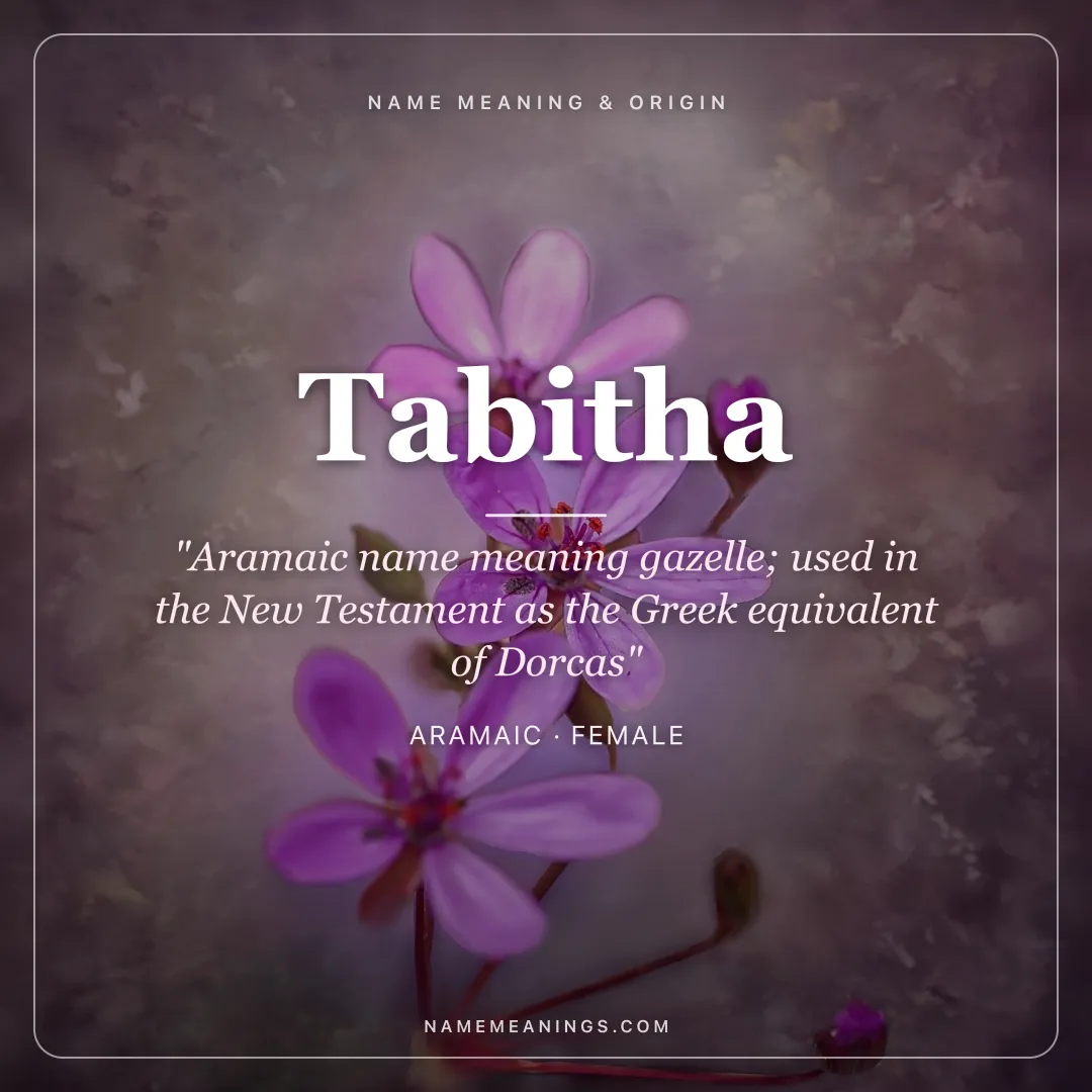 Tabitha name meaning "Aramaic name meaning gazelle; used in the New Testament as the Greek equivalent of Dorcas" - Aramaic female name share card | NameMeanings