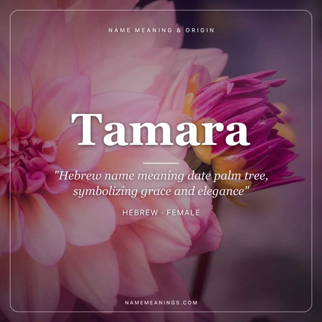 Tamara name meaning "Hebrew name meaning date palm tree, symbolizing grace and elegance" - Hebrew female name share card | NameMeanings