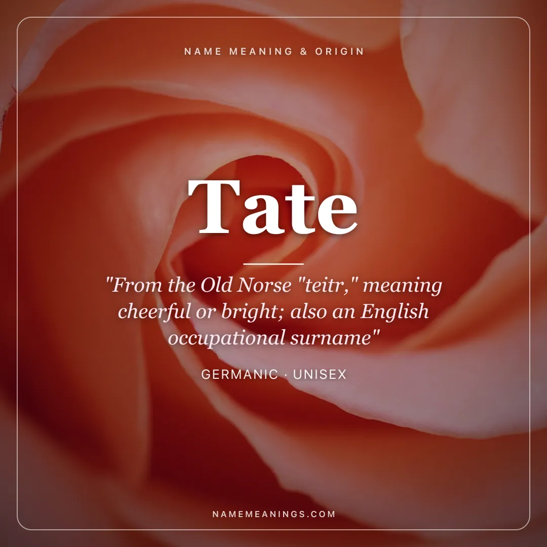 Tate name meaning "From the Old Norse "teitr," meaning cheerful or bright; also an English occupational surname" - Germanic unisex name share card | NameMeanings
