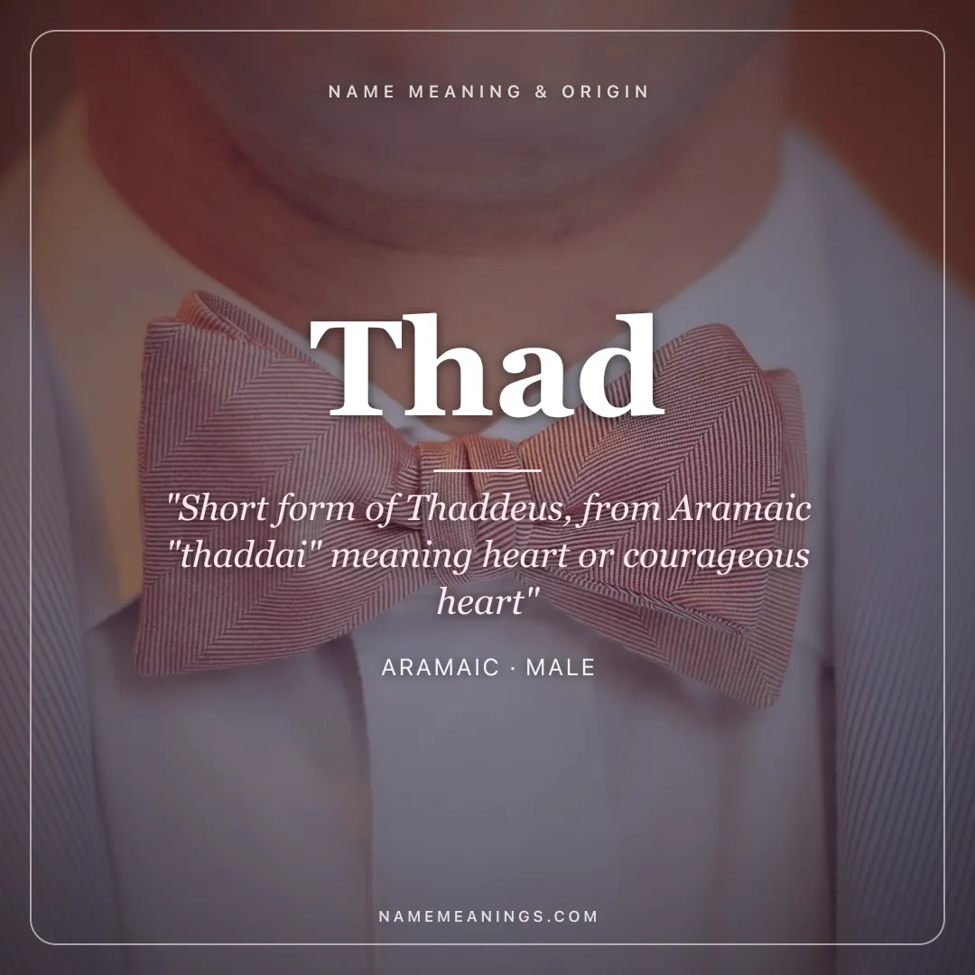 Thad name meaning "Short form of Thaddeus, from Aramaic "thaddai" meaning heart or courageous heart" - Aramaic male name share card | NameMeanings