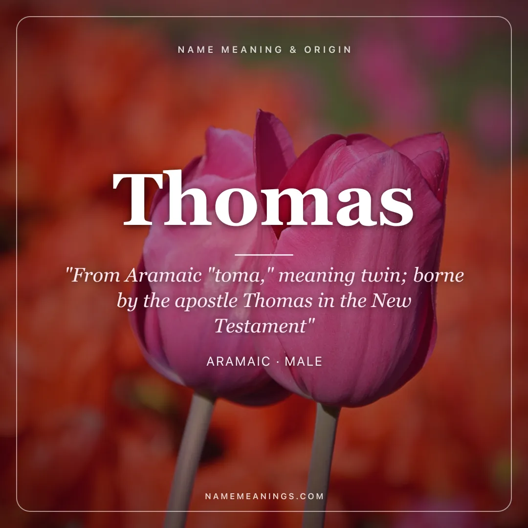 Thomas name meaning "From Aramaic "toma," meaning twin; borne by the apostle Thomas in the New Testament" - Aramaic male name share card | NameMeanings