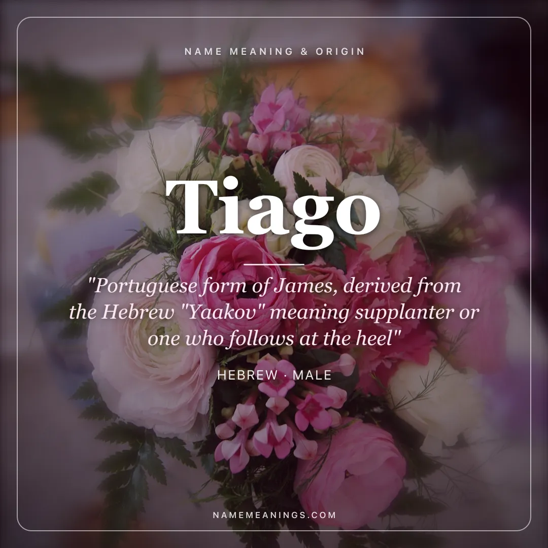Tiago name meaning "Portuguese form of James, derived from the Hebrew "Yaakov" meaning supplanter or one who follows at the heel" - Hebrew male name share card | NameMeanings