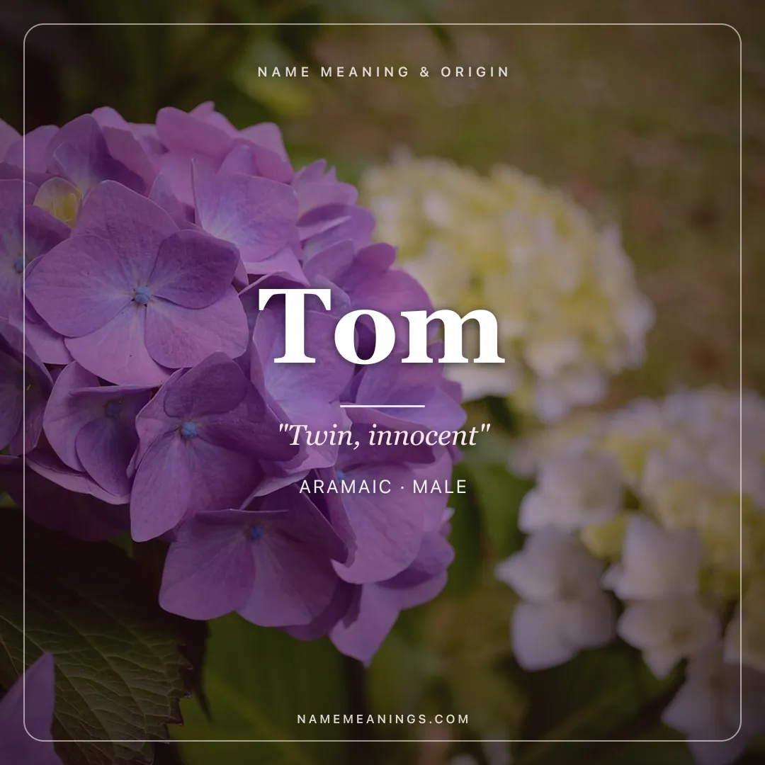 Tom name meaning "Twin, innocent" - Aramaic male name share card | NameMeanings