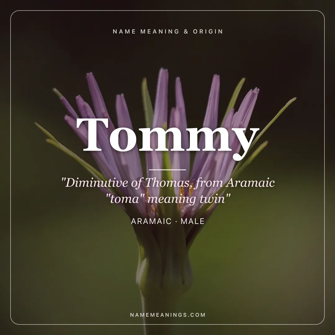 Tommy name meaning "Diminutive of Thomas, from Aramaic "toma" meaning twin" - Aramaic male name share card | NameMeanings