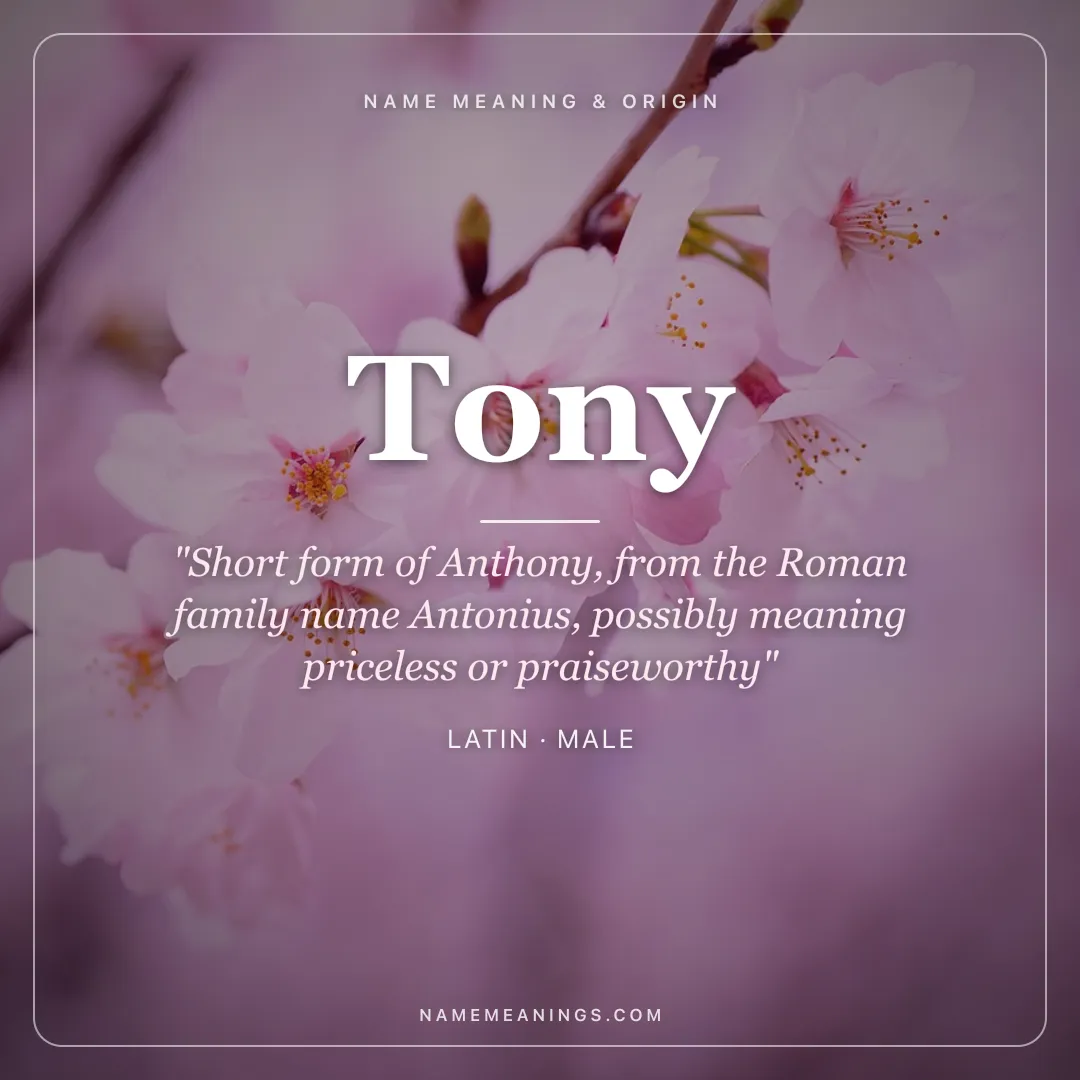 Tony name meaning "Short form of Anthony, from the Roman family name Antonius, possibly meaning priceless or praiseworthy" - Latin male name share card | NameMeanings