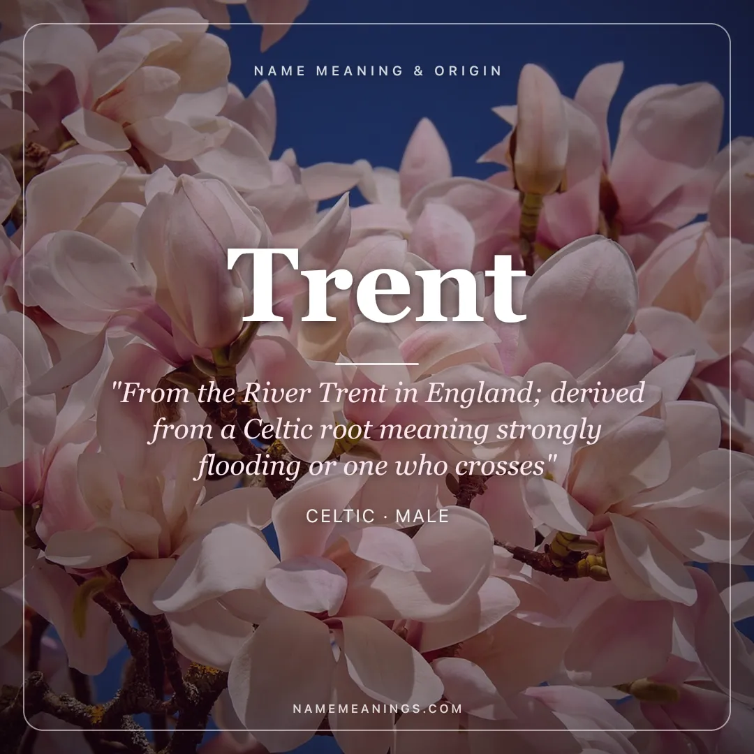 Trent name meaning "From the River Trent in England; derived from a Celtic root meaning strongly flooding or one who crosses" - Celtic male name share card | NameMeanings