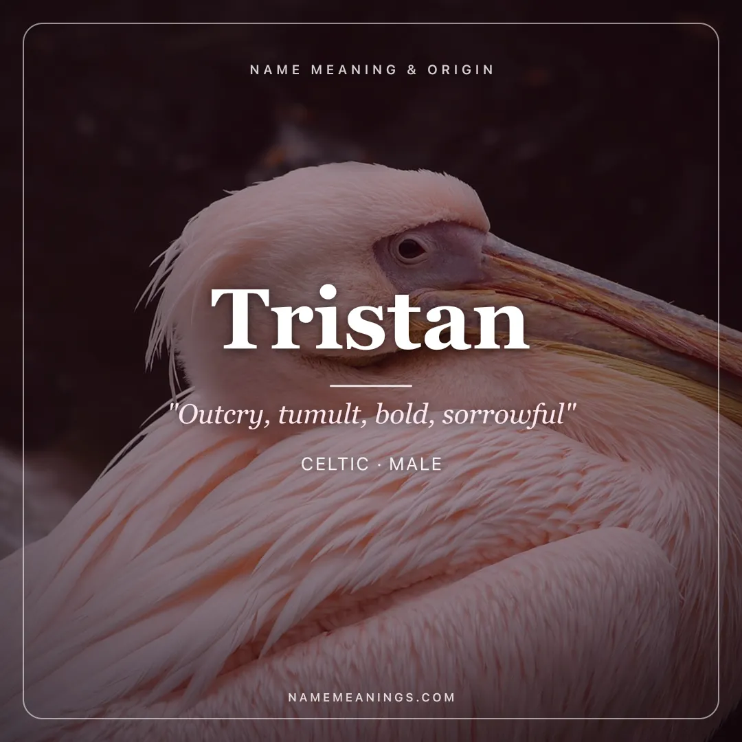 Tristan name meaning "Outcry, tumult, bold, sorrowful" - Celtic, Welsh, French male name share card | NameMeanings