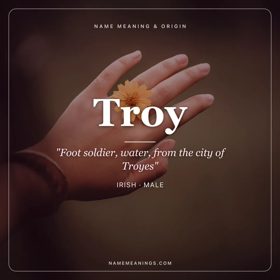 Troy name meaning "Foot soldier, water, from the city of Troyes" - Irish, French, Greek male name share card | NameMeanings