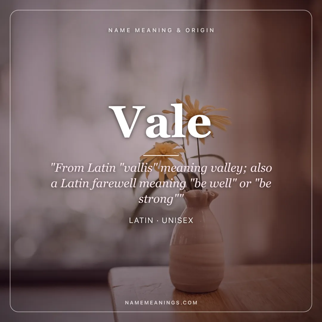 Vale name meaning "From Latin "vallis" meaning valley; also a Latin farewell meaning "be well" or "be strong"" - Latin unisex name share card | NameMeanings