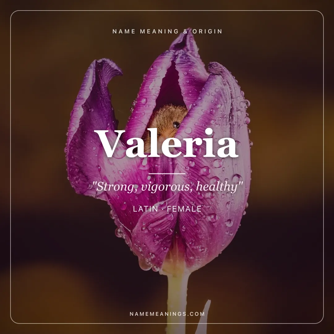 Valeria name meaning "Strong, vigorous, healthy" - Latin female name share card | NameMeanings