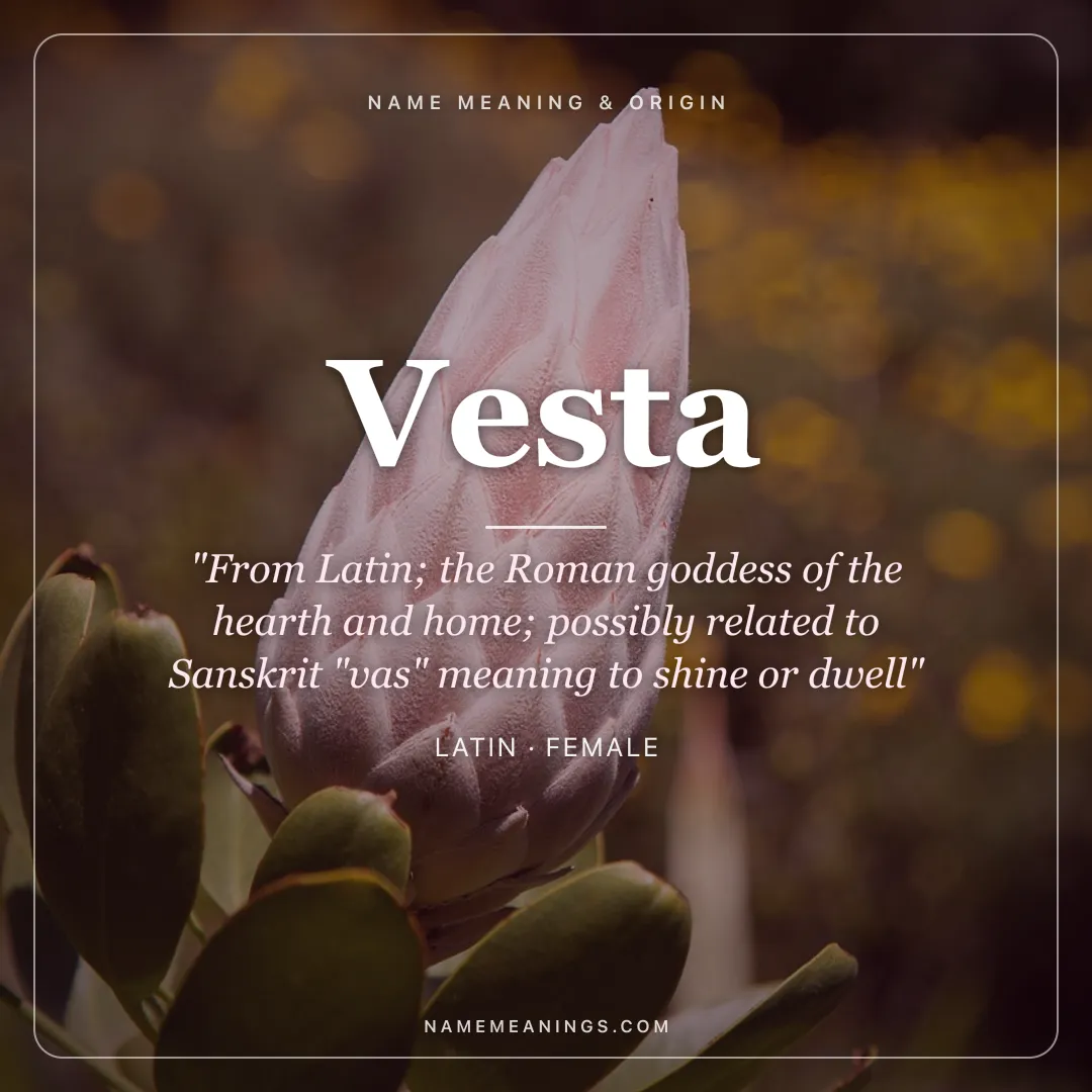 Vesta name meaning "From Latin; the Roman goddess of the hearth and home; possibly related to Sanskrit "vas" meaning to shine or dwell" - Latin female name share card | NameMeanings